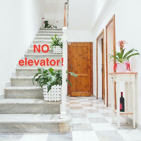 Hotel Eco Pisa Tower Zewnętrze zdjęcie