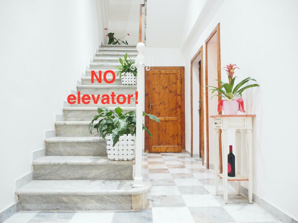 Hotel Eco Pisa Tower Zewnętrze zdjęcie